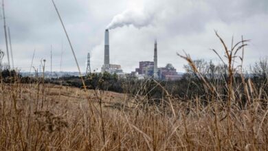 India's carbon emissions in 2025 grew at slowest rate in two decades: CREA analysis
