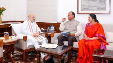 Strengthening of Penna River flood wall essential: Nellore MP, MLA tell Amit Shah