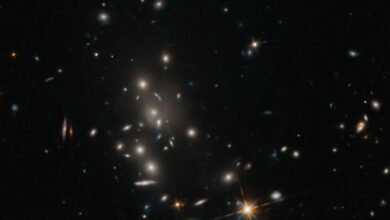 Hubble Captures Galaxy Cluster