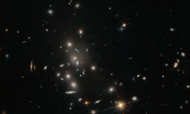 Hubble Captures Galaxy Cluster
