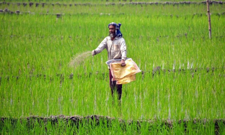Fuel, fertiliser prices may remain high for prolonged period: IMF, World Bank, IEA