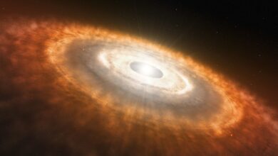 NASA Finds New Way Earth May Have Received Elements Needed for Life
