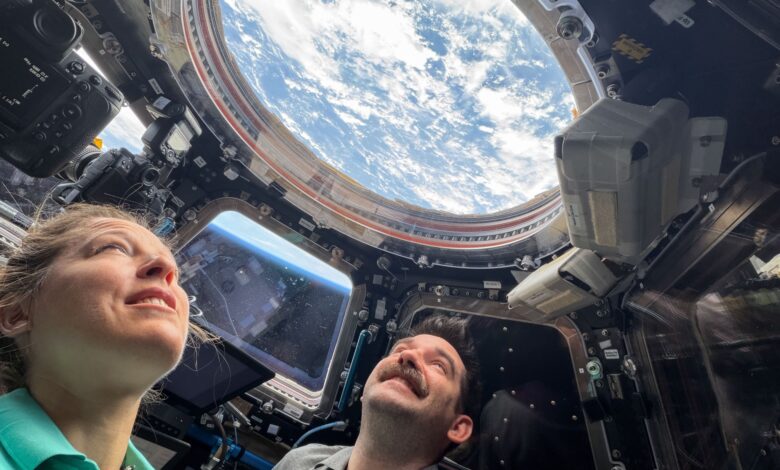 Look Up!