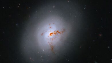 Hubble Sights Galaxy in Transition