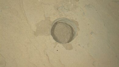 Curiosity Blog, Sols 4886-4892: Ingenuity and Perseverance, Curiosity Style