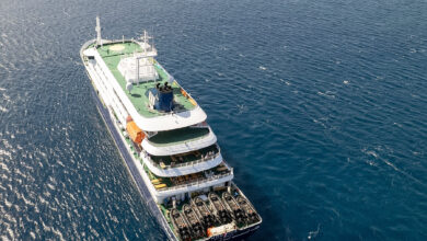3 Dead in Hantavirus Outbreak Aboard Cruise Ship, W.H.O. Says