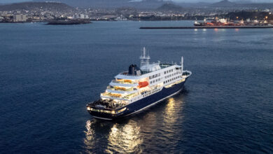 Hantavirus Patients Land in Amsterdam With More Cruise Ship Evacuations Planned