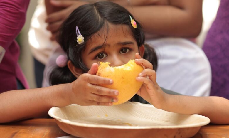 Mango mania in Chennai: Where to indulge in organic varieties this summer