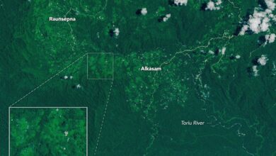 Cyclone Rains Spur Papua New Guinea Landslides