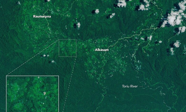 Cyclone Rains Spur Papua New Guinea Landslides