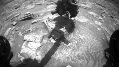 Curiosity Blog, Sols 4893-4899: Drilling at Campo Marte and a Visit From the Psyche Spacecraft