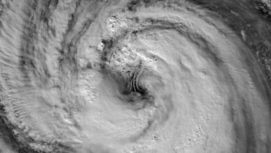 Typhoon Jangmi