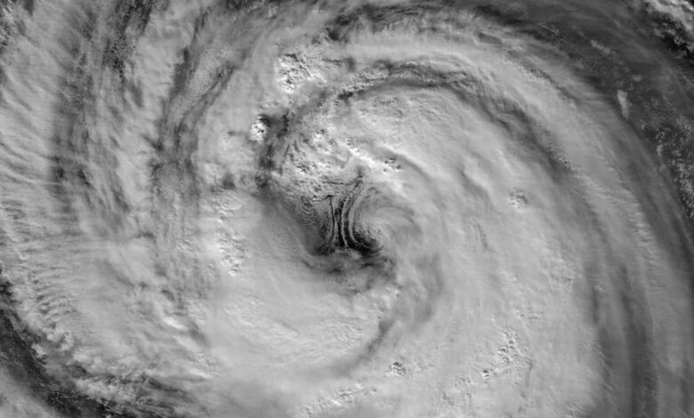 Typhoon Jangmi