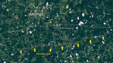 Tornado Draws a Jagged Line in Mississippi