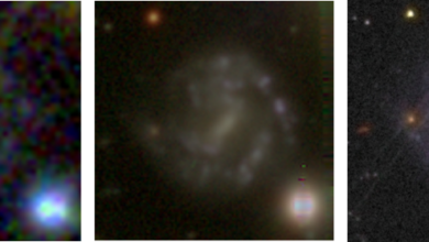 Be a Clump Scout and Help Reveal Secrets of Stellar Nurseries