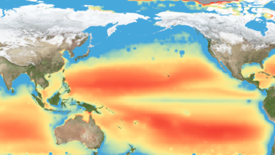 NASA Satellites Uncover Large-Scale Ocean Nutrient Stress 