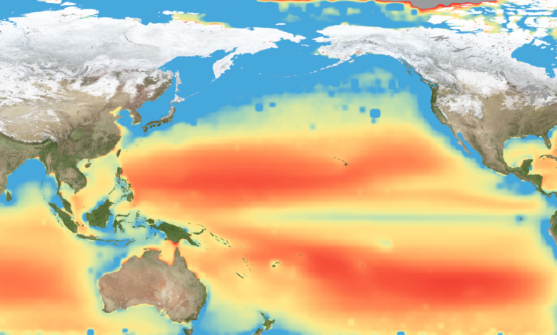 NASA Satellites Uncover Large-Scale Ocean Nutrient Stress 