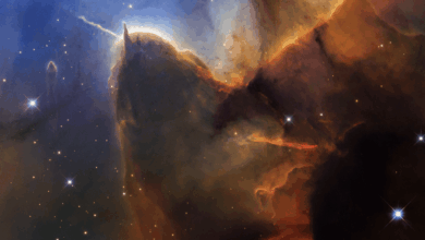 The Day of the Trifid Nebula