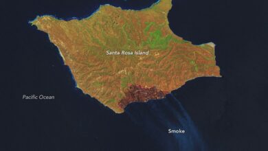 Fire Chars Santa Rosa Island