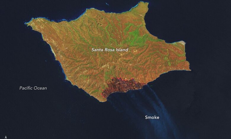 Fire Chars Santa Rosa Island