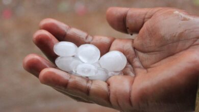 Kerala urges caution over contaminated ice as temperatures soar, steps up food safety checks