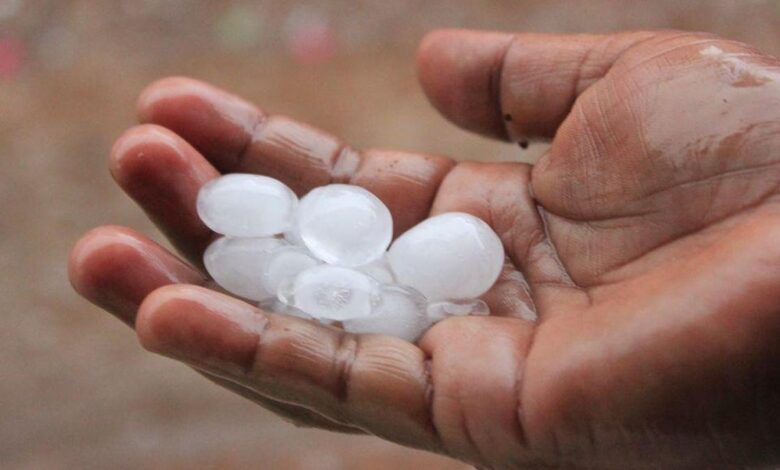 Kerala urges caution over contaminated ice as temperatures soar, steps up food safety checks