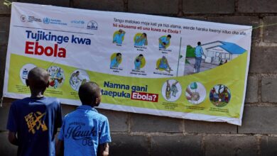 Bundibugyo ebolavirus | A deadly pathogen