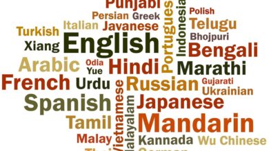 An open letter to the Union Minister for Education