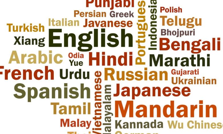 An open letter to the Union Minister for Education