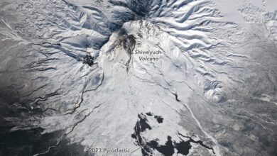 Melting Snow Off Shivelyuch