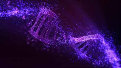 Explained | What is genome sequencing and why does the Genome India Project matter?