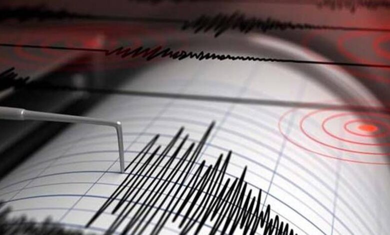 Moderate quake hits Himachal districts; tremors felt in neighbouring States