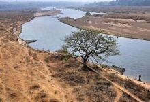 India’s economic growth depends on protecting its fragile environment