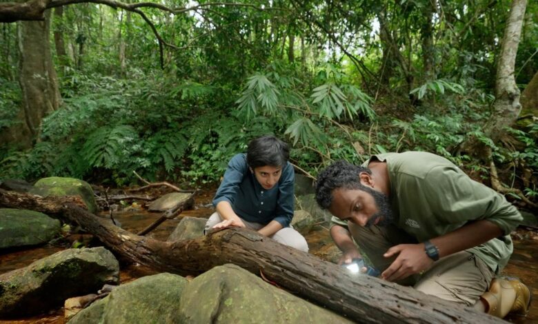 A peek into the secret lives of Coorg’s many frogs
