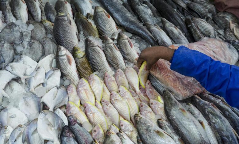 Tapping fisheries in reservoirs