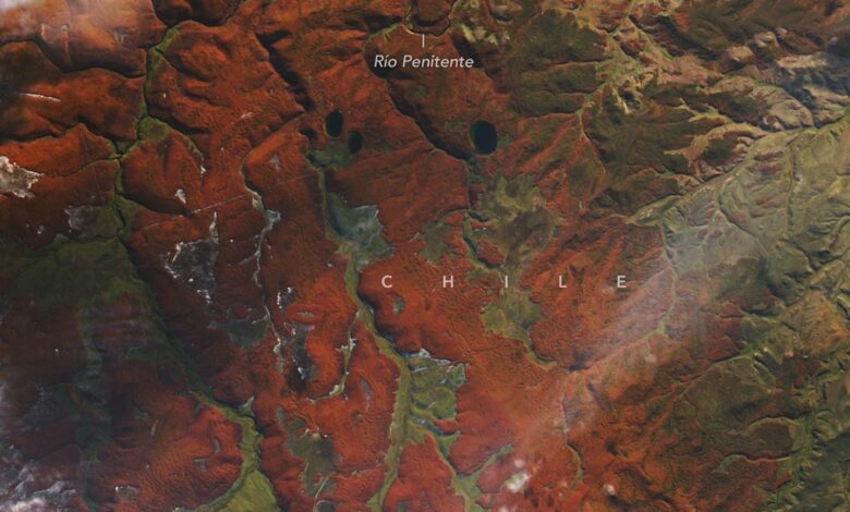 Fiery Fall Color in Southern Chile