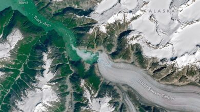 Tracy Arm’s Post-Tsunami Landscape