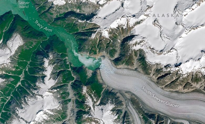 Tracy Arm’s Post-Tsunami Landscape