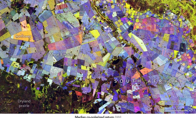 Painting the Growing Season in the Maize Triangle
