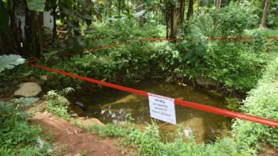 Kerala health alert: Public urged to stay vigilant against amoebic brain infections during summer