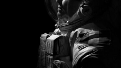 Johnson Photographers Honored for Award-Winning Portraits 