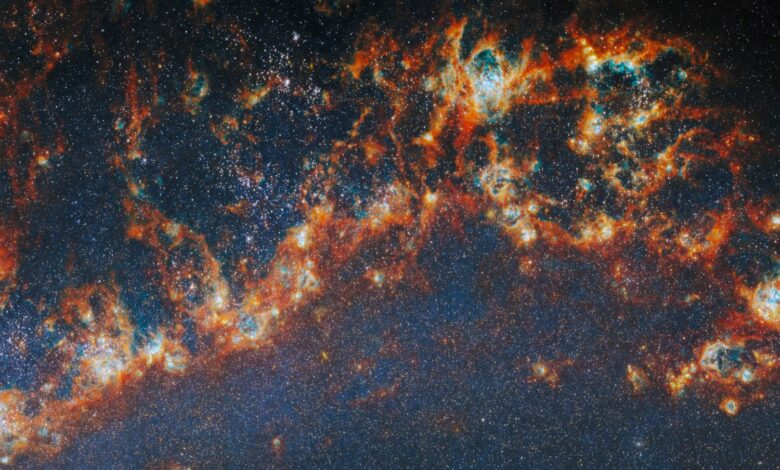 Webb Studies Star Clusters