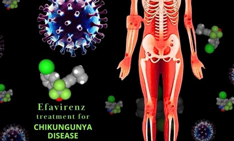 IIT Roorkee researchers discover potential drug to treat Chikungunya