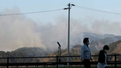 Japan contains one of its biggest wildfires in decades after 11-day battle