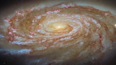 Hubble Captures M88 on Journey to Center of Virgo Cluster