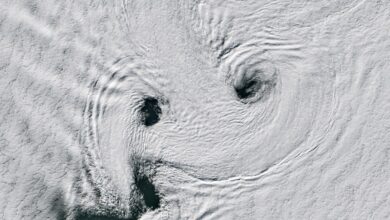 A Sea of Spinning Clouds