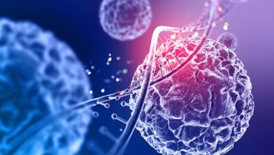 In Focus podcast | Can a cancer therapy help treat autoimmune diseases?