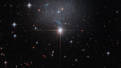 Hubble Spies Faint Irregular Galaxy