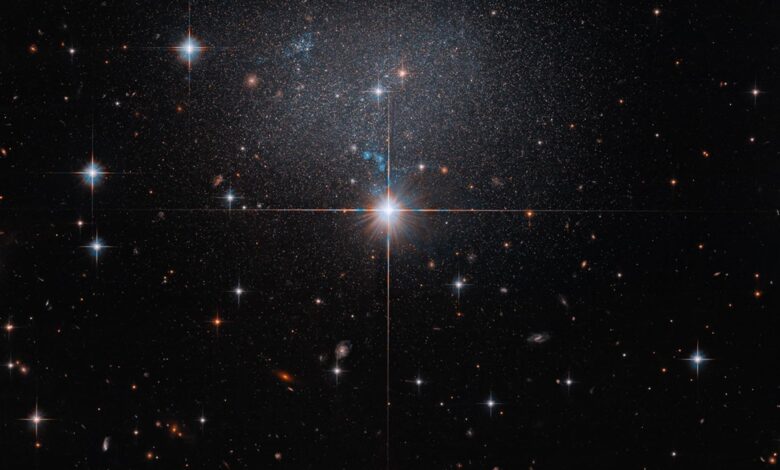 Hubble Spies Faint Irregular Galaxy