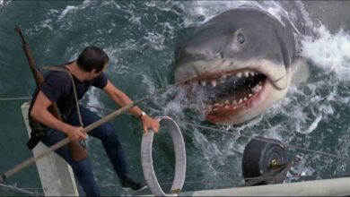 ‘Jaws’ at 50: Still has bite
